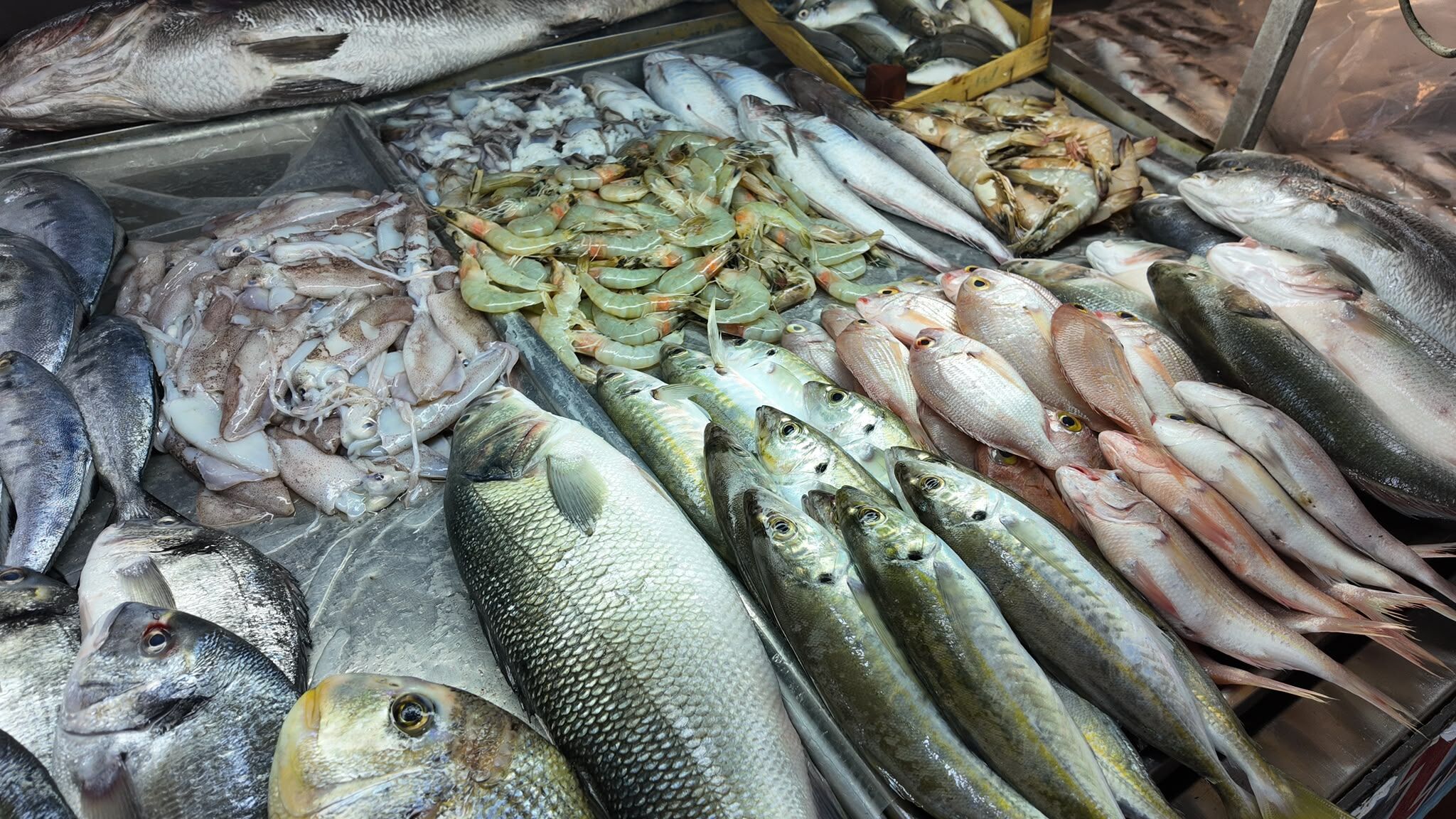 Fethiye Balık Halinde Sezon Hareketliliği: En Uygun Balık 250 TL