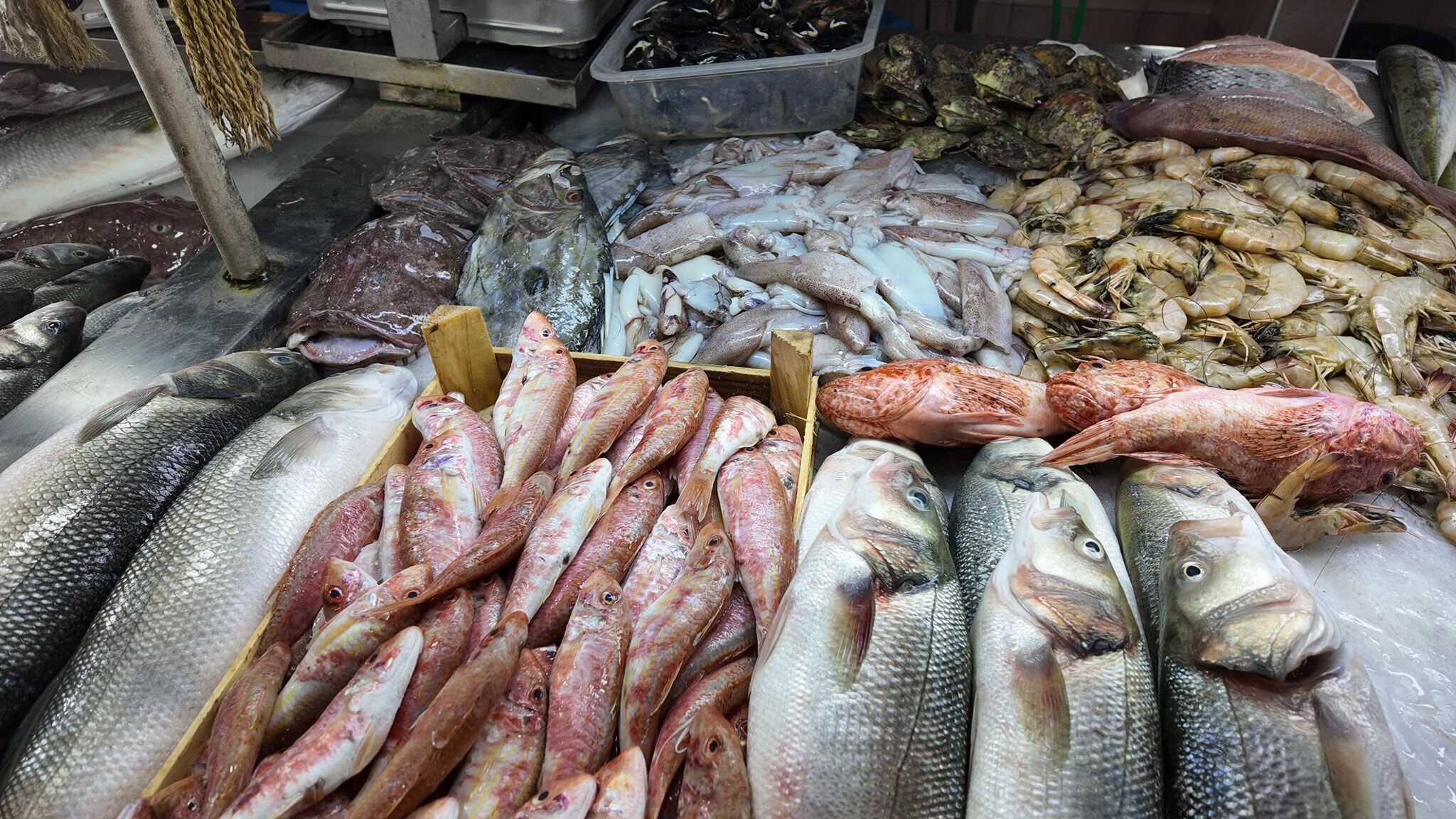 Fethiye Balık Halinde Sezon Hareketliliği: En Uygun Balık 250 TL