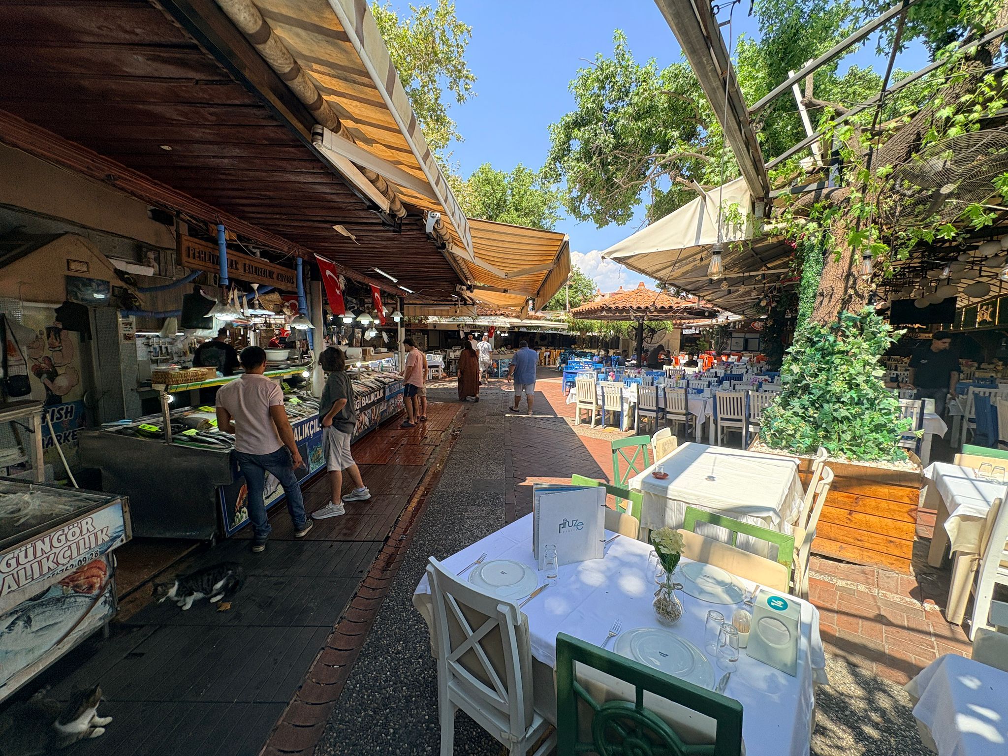 Fethiye Balık Hali’nde Yaz Sezonu Hareketliliği