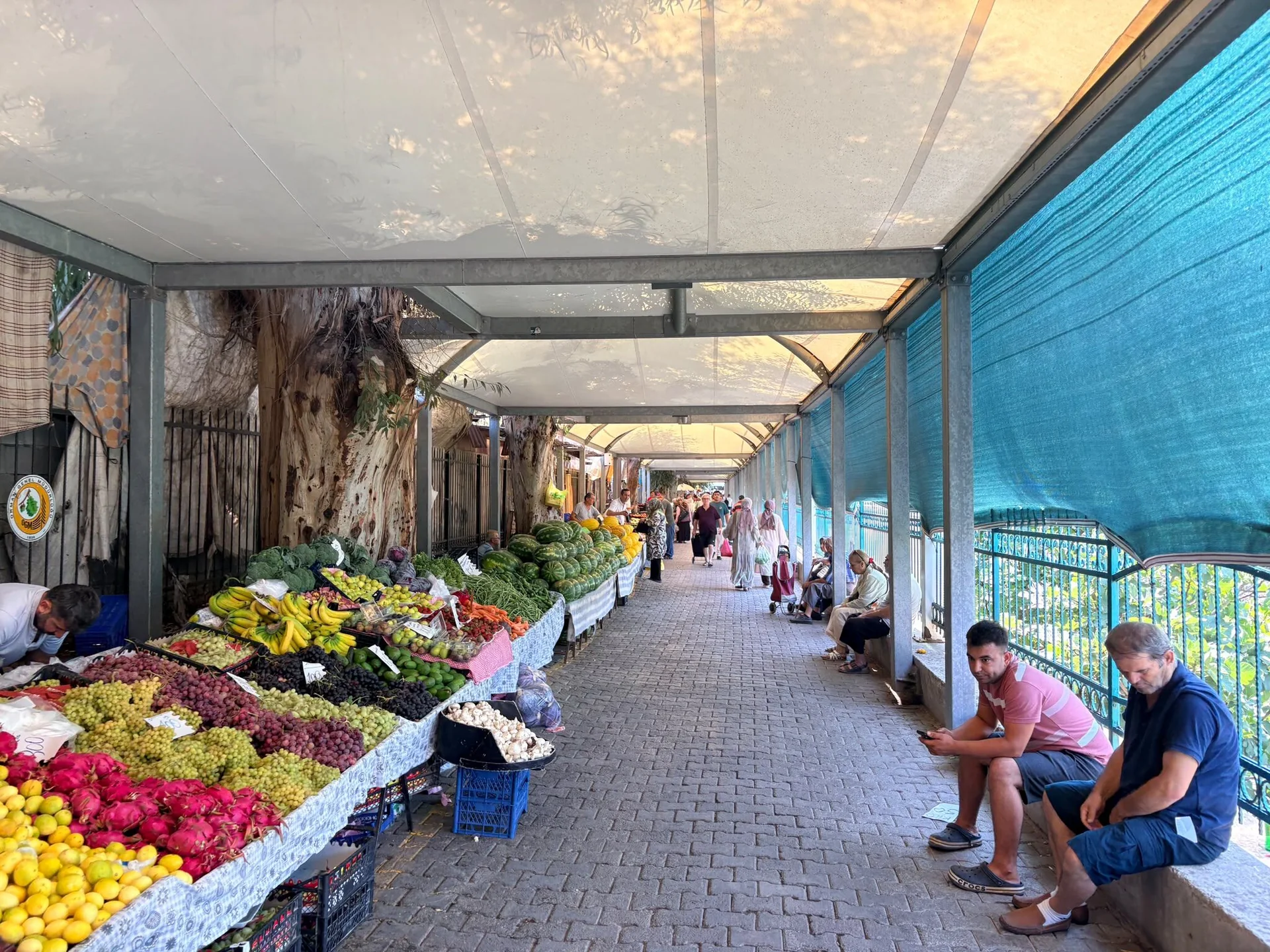 Fethiye Salı Pazarında Alışveriş Zayıf: “Fiyatlar Çok İyi Ama Sürüm Yok”
