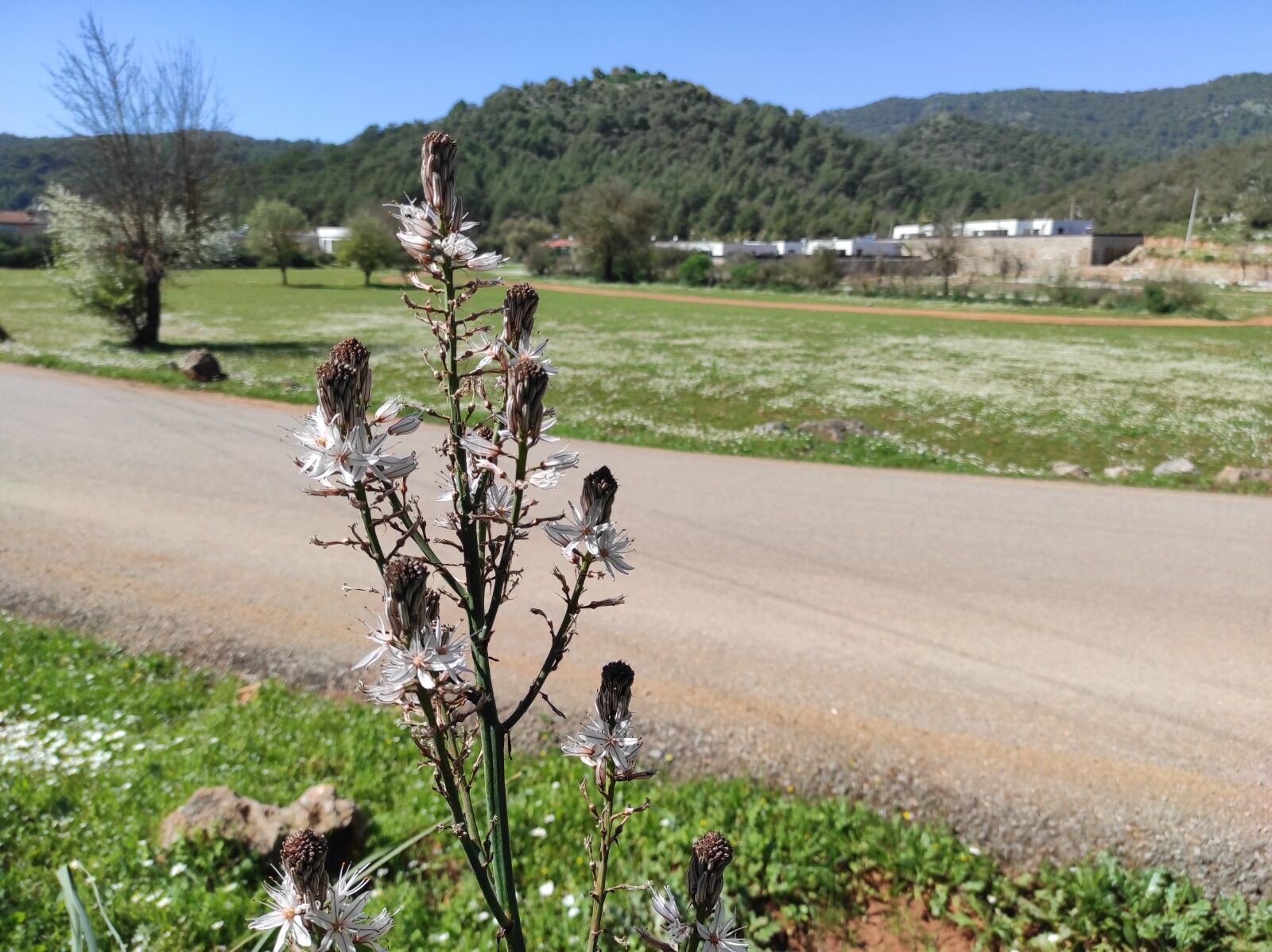 Fethiye’de Baharın İlk İzleri Görülmeye Başladı