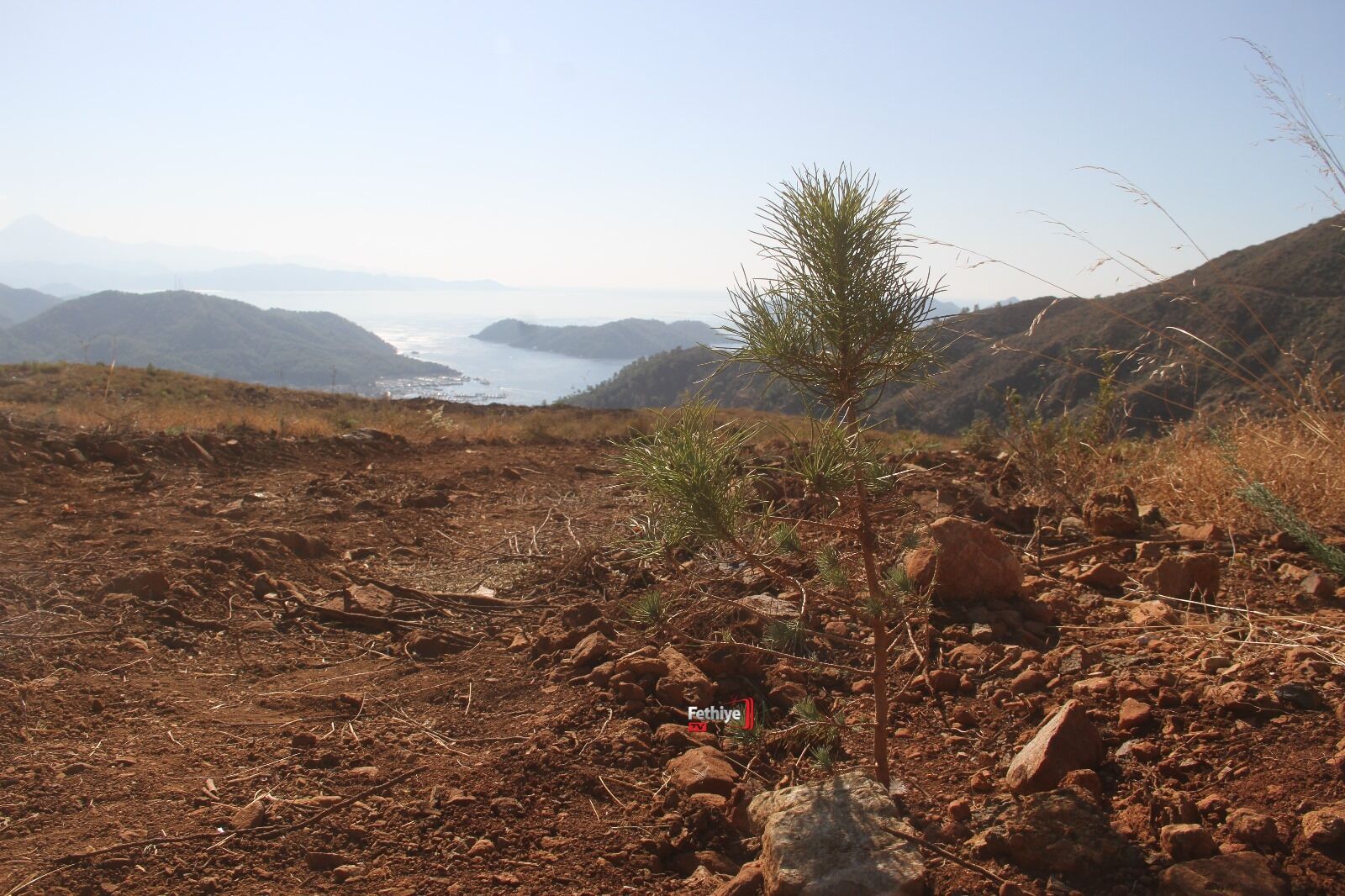 Fethiye’de Geleceğe Nefes İçin 5 Bin Fidan Toprakla Buluştu