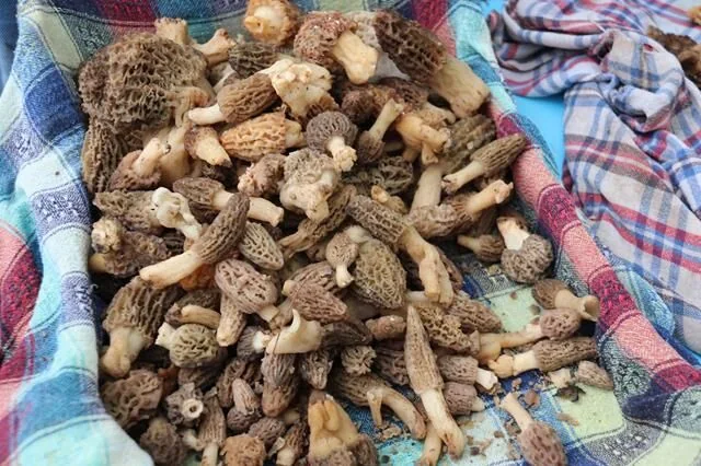 Fethiye’de Geleneksel Festival Coşkusu