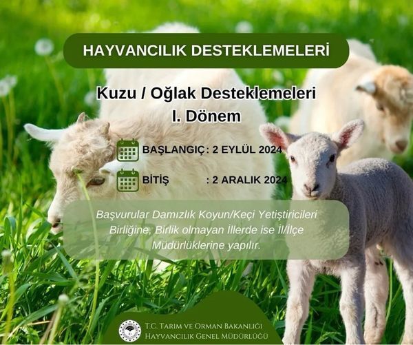 Fethiye’de Hayvancılıkla Uğraşanları İlgilendiriyor