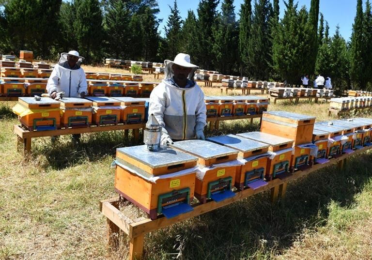 Fethiye’de Hayvancılıkla Uğraşanları İlgilendiriyor