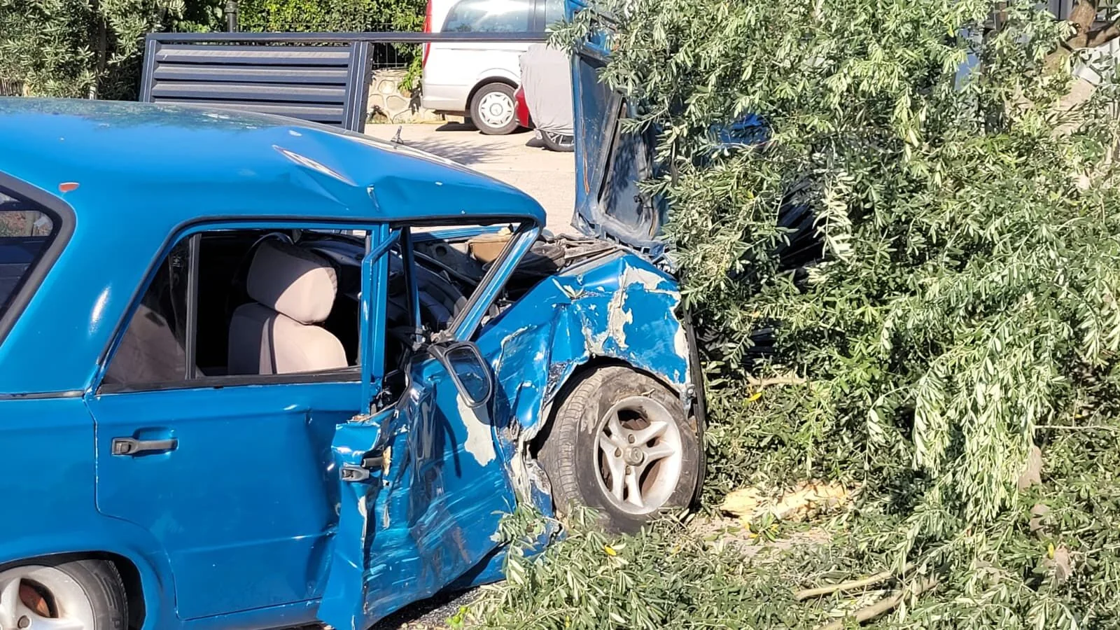 Fethiye'de Kontrolden Çıkan Otomobil Yol Kenarındaki Ağaca Çarptı