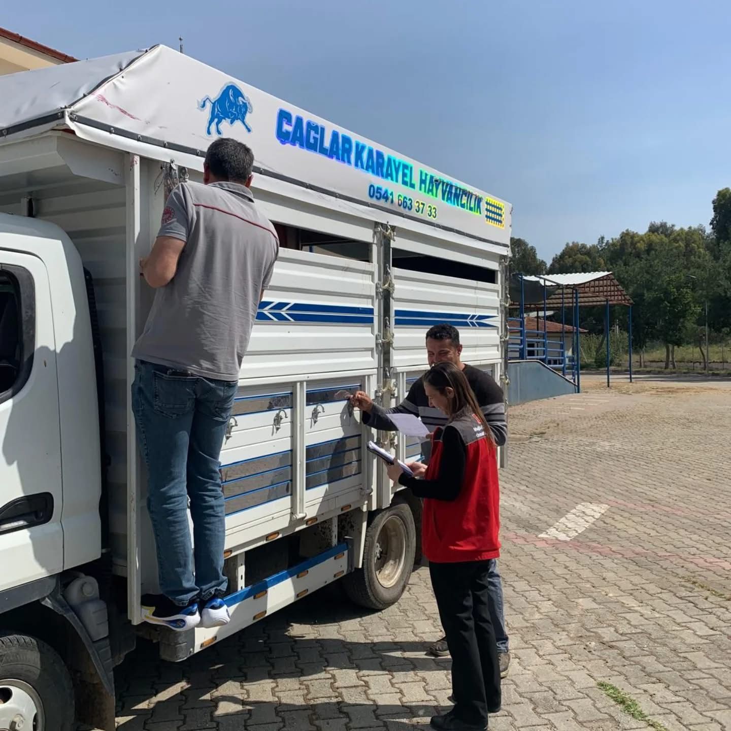 Fethiye’de Kurban Bayramı Öncesi Hayvan Nakillerine Denetim