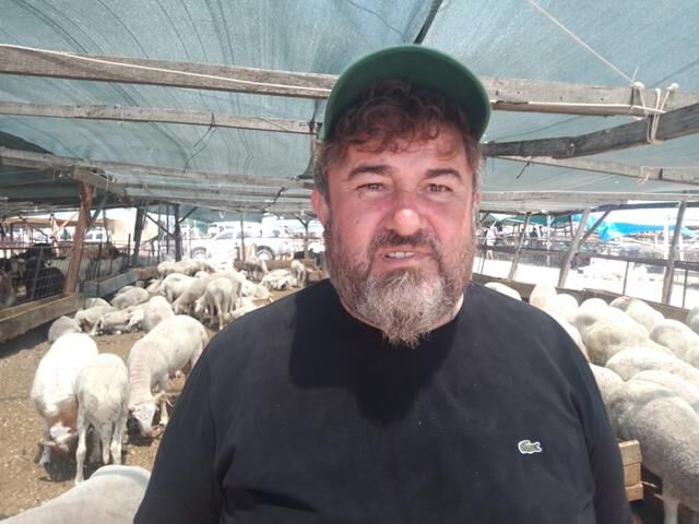 Fethiye’de Kurbanlık Satışları Hareketlendi