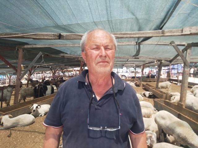 Fethiye’de Kurbanlık Satışları Hareketlendi