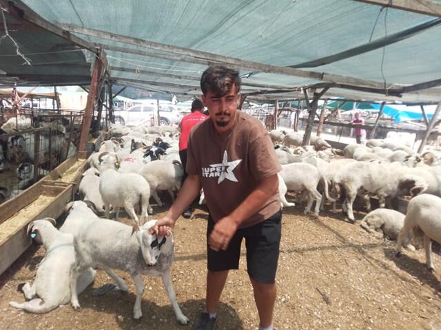 Fethiye’de Kurbanlık Satışları Hareketlendi