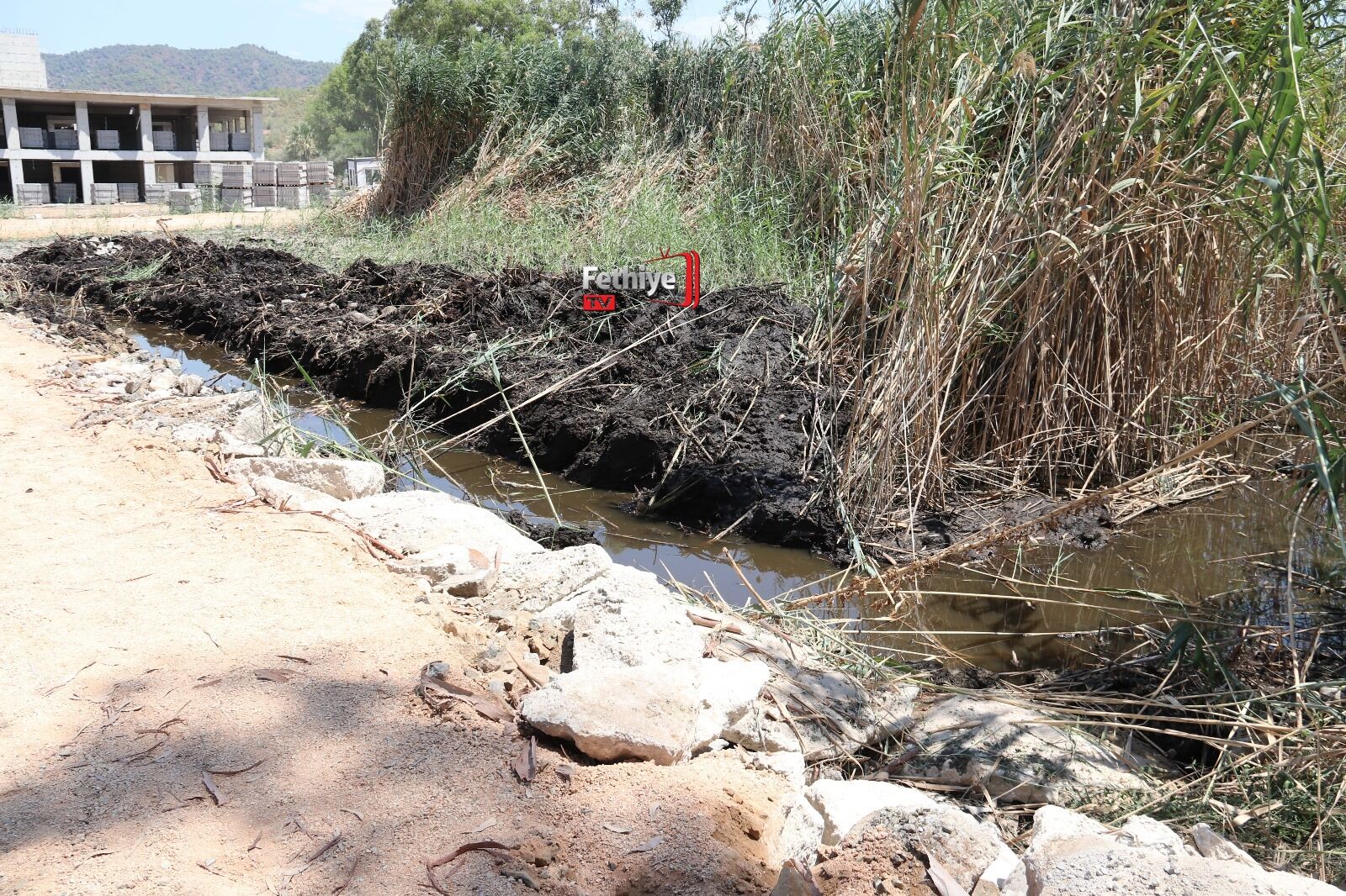 Fethiye’de Ölüme Terk Edilen Su Kaplumbağaları Yeniden Gölle Buluştu