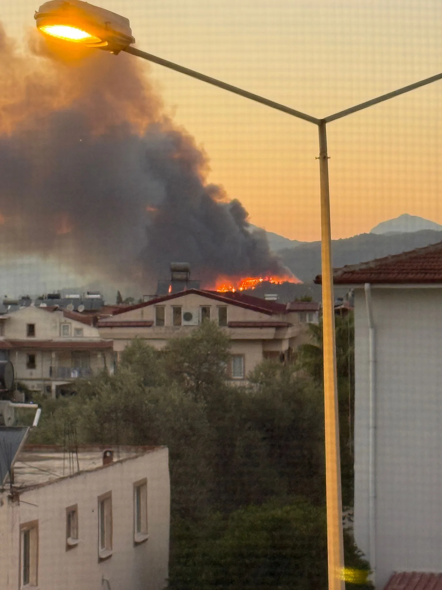 Fethiye’de Orman Yangını Kontrol Altına Alındı: 78 Hane Tahliye Edildi, 574 Kişi Güvenli Bölgeye Alındı