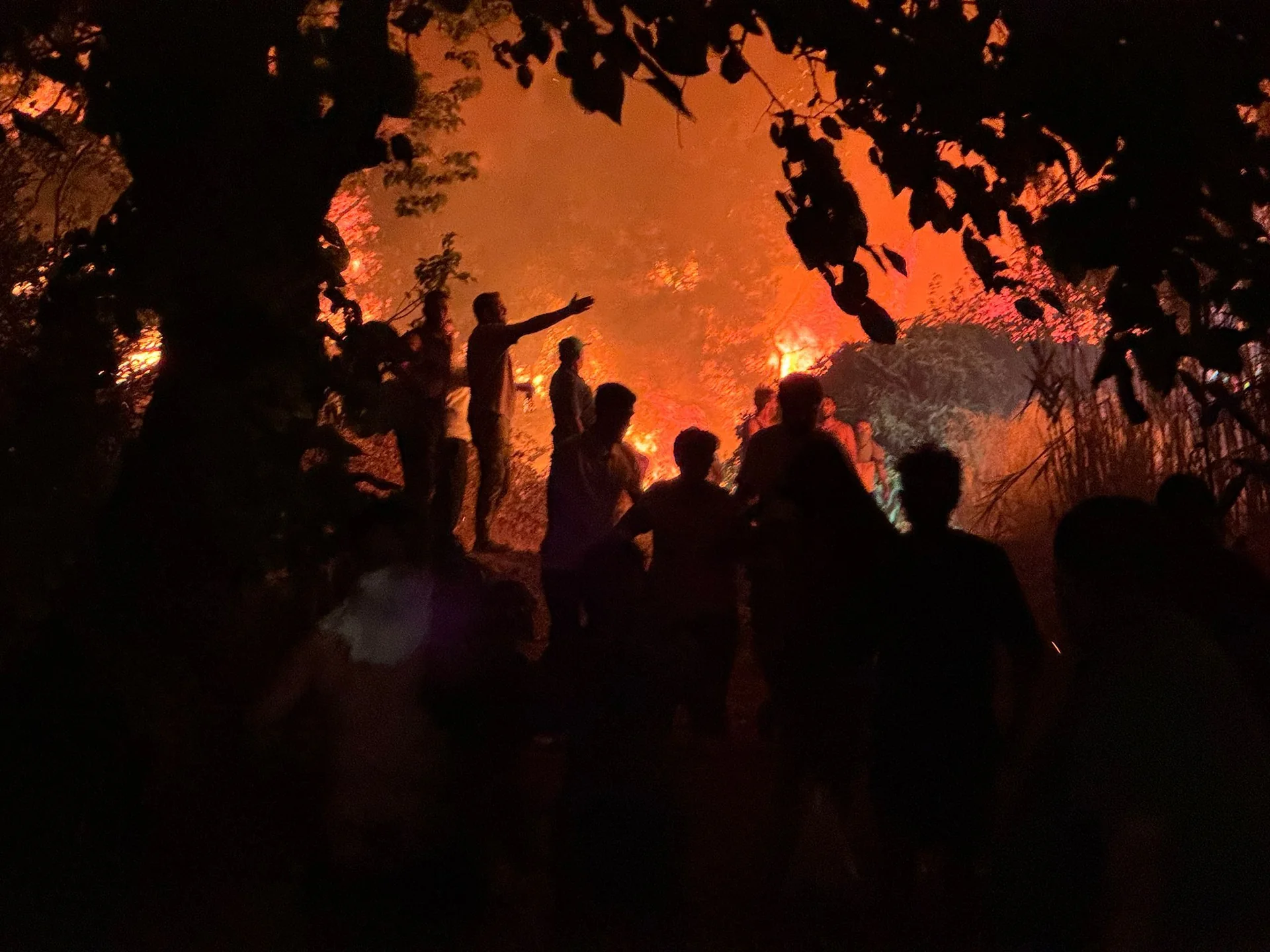 Fethiye’de Orman Yangını Kontrol Altına Alındı: 78 Hane Tahliye Edildi, 574 Kişi Güvenli Bölgeye Alındı