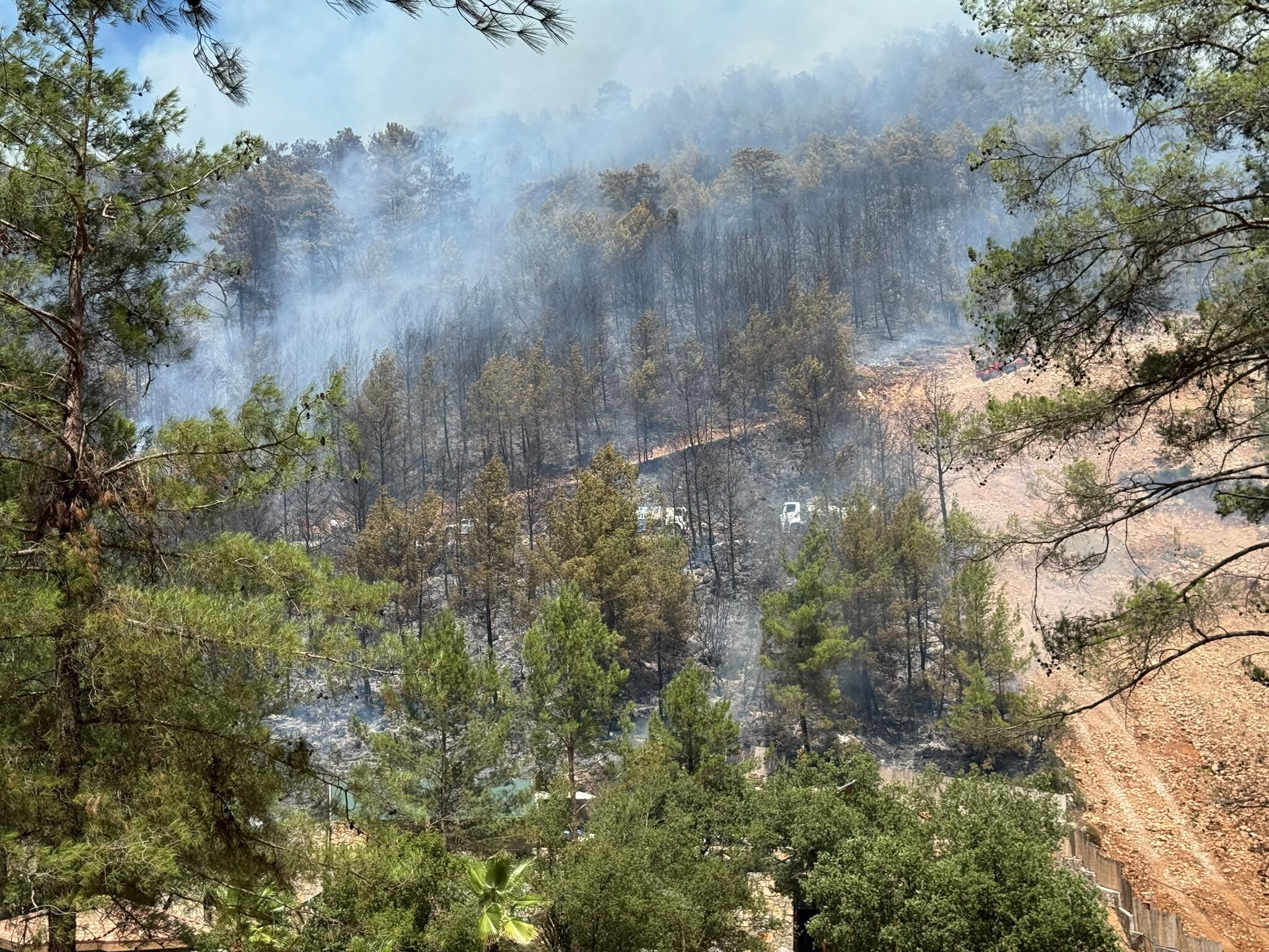 Fethiye'de Orman Yangını Yerleşim Yerlerine Sıçradı
