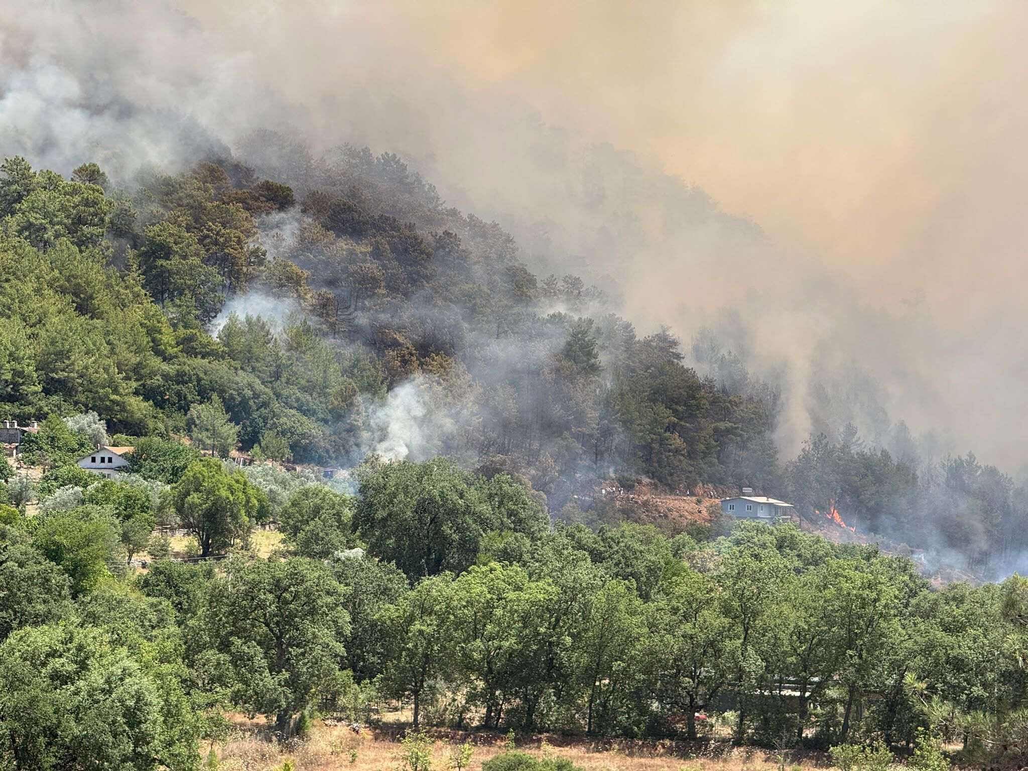 Fethiye'de Orman Yangını Yerleşim Yerlerine Sıçradı