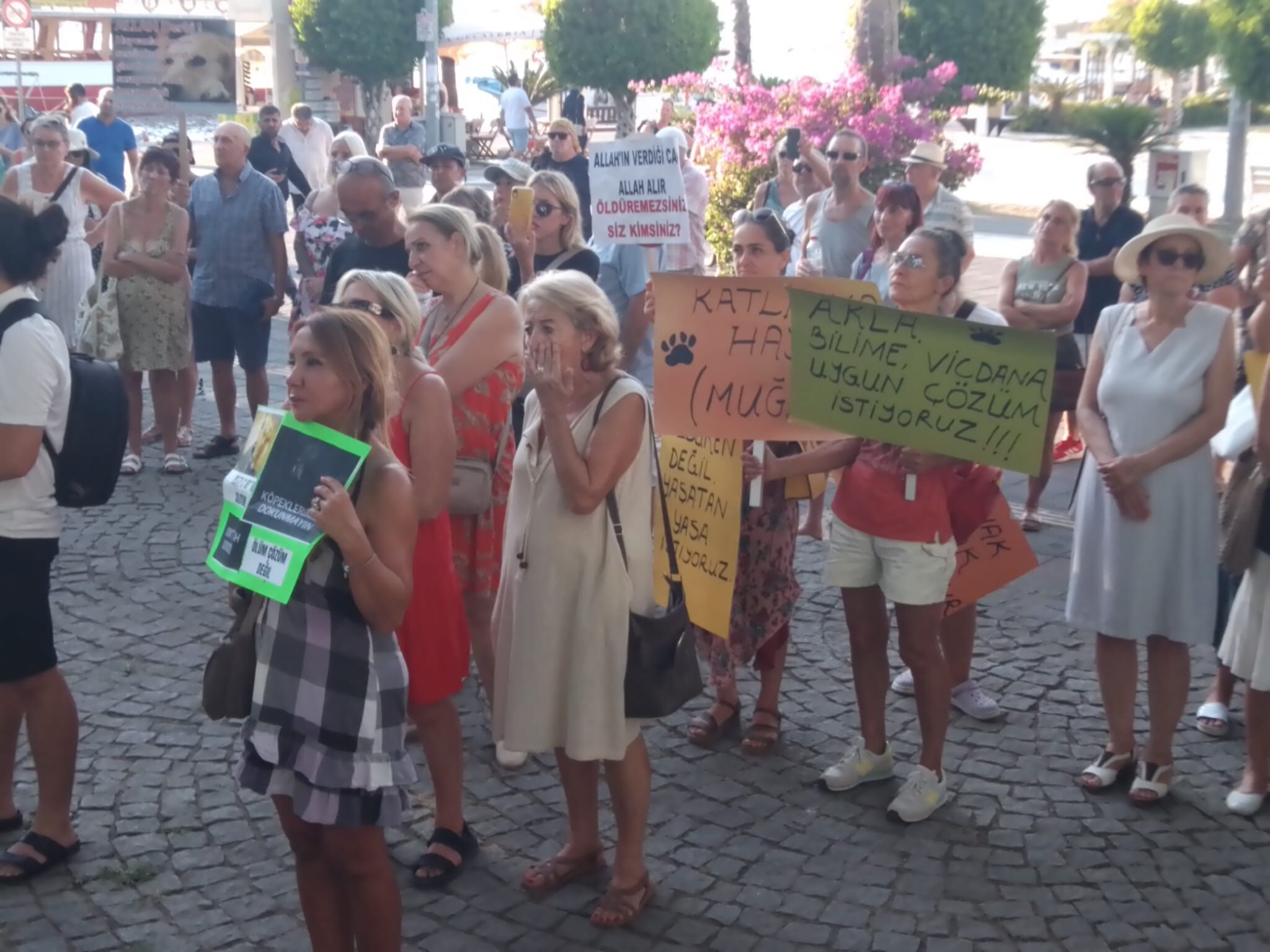 Fethiye’de ‘Ötanazi’ye Tepki Eylemi