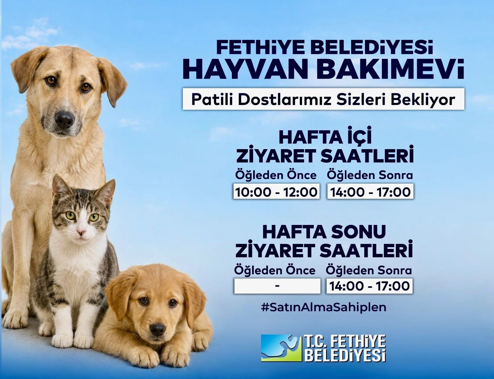 Fethiye'de Patili Dostlar, Yeni Yuvalarını Bekliyor