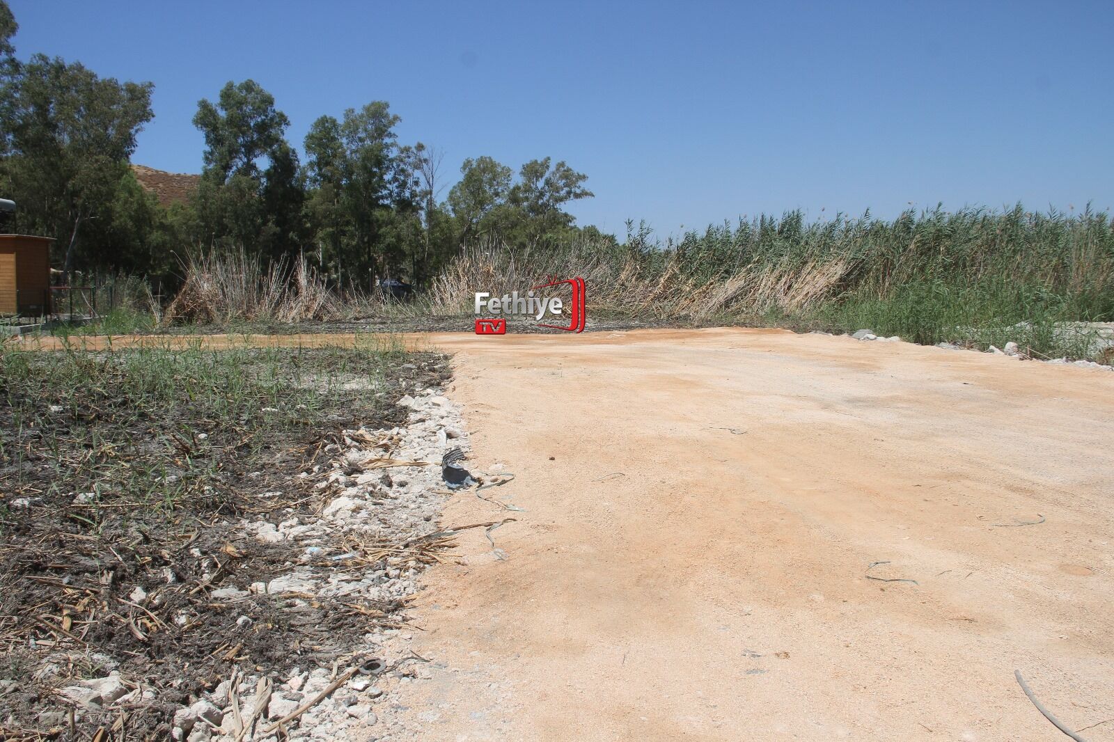 Fethiye’de Su Kaplumbağalarını Ölüme Terk Ettiler