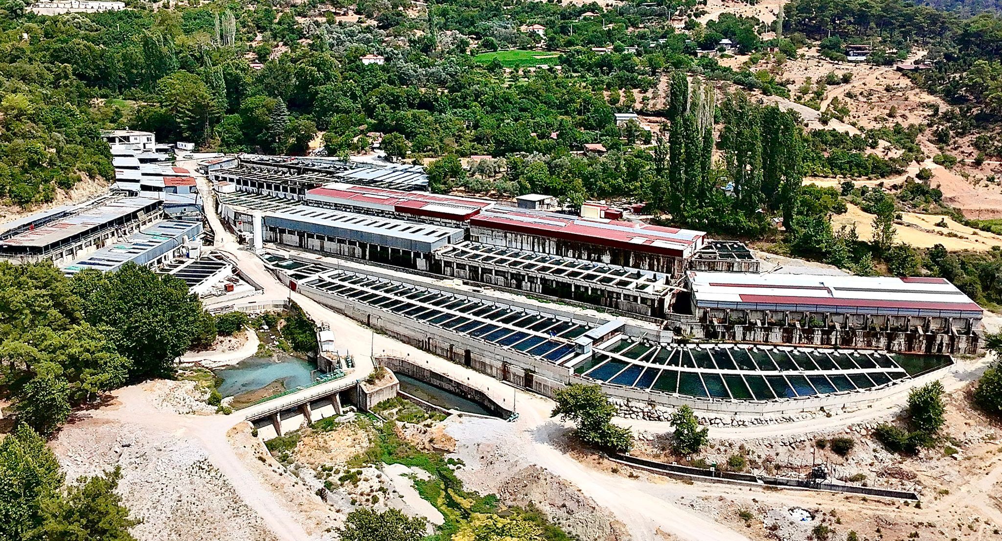 Fethiye’de Üretilen “Kırmızı Alabalıklar” ABD ve Avrupa Ülkelerine İhraç Ediliyor