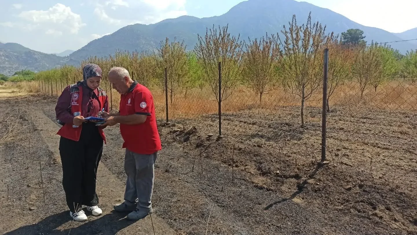 Fethiye'de Yangının Yaraları Sarılıyor