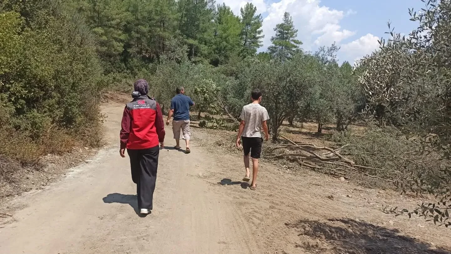 Fethiye'de Yangının Yaraları Sarılıyor