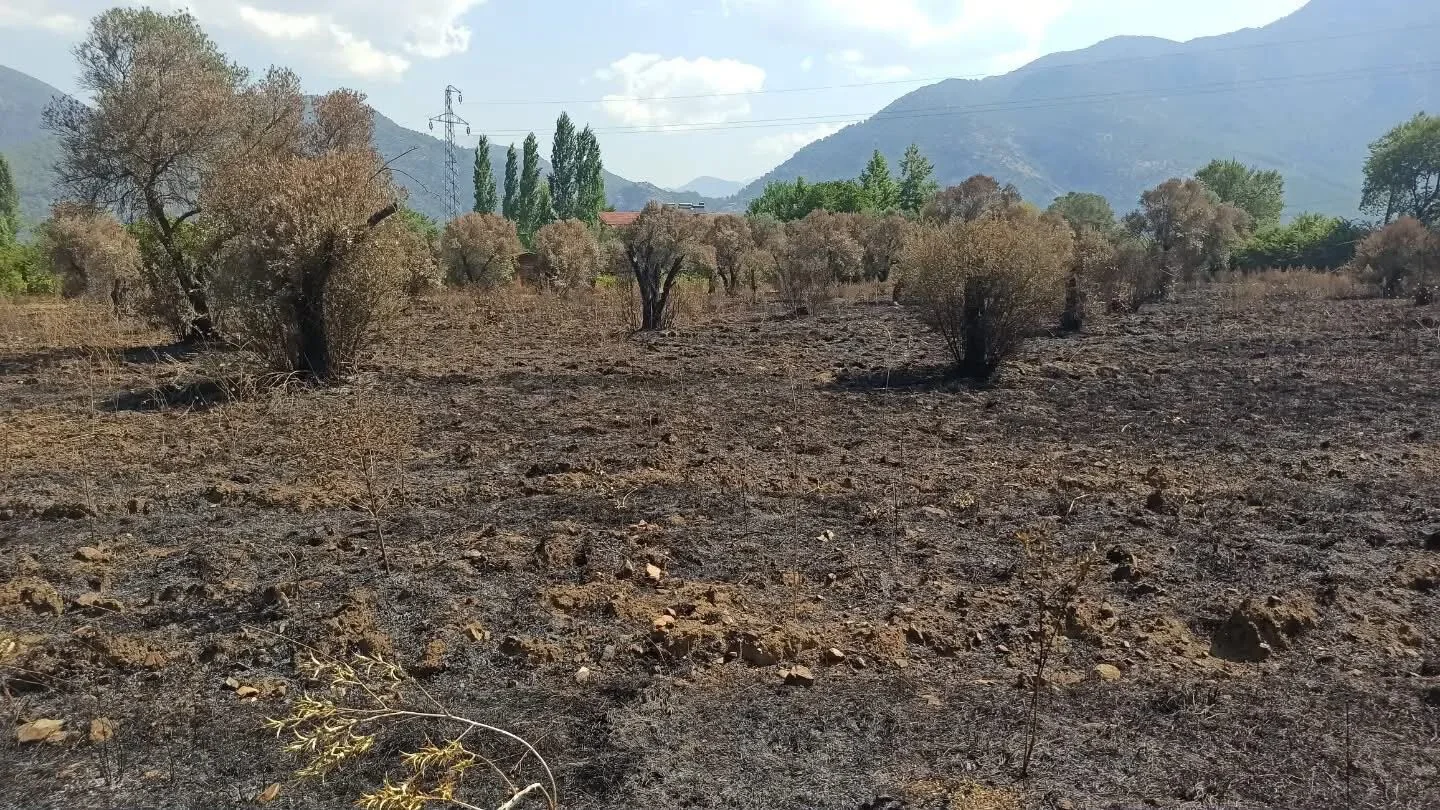 Fethiye'de Yangının Yaraları Sarılıyor