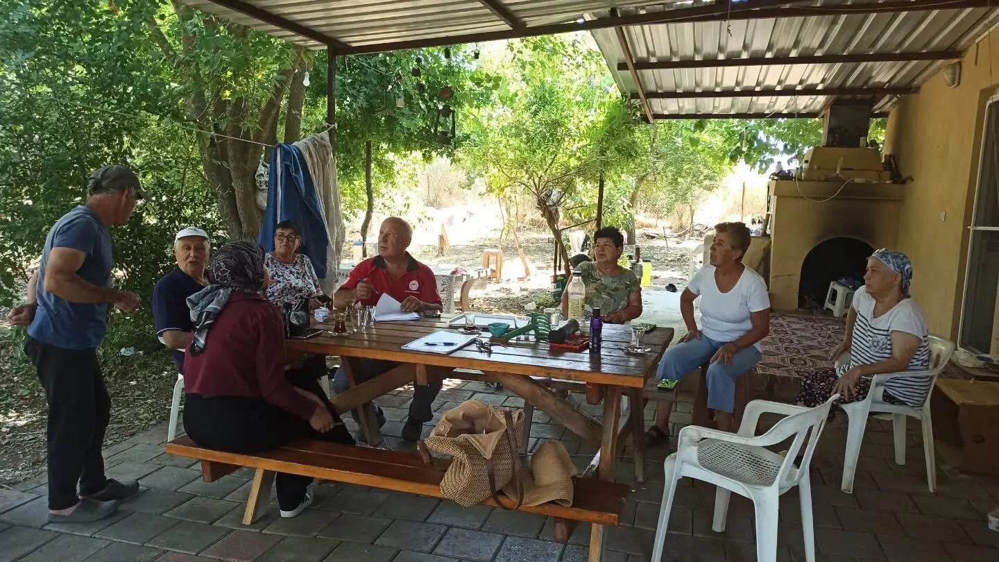 Fethiye'de Yangının Yaraları Sarılıyor