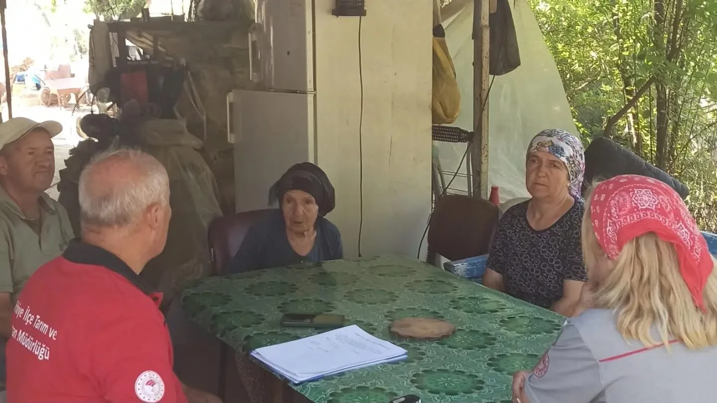 Fethiye'de Yangının Yaraları Sarılıyor