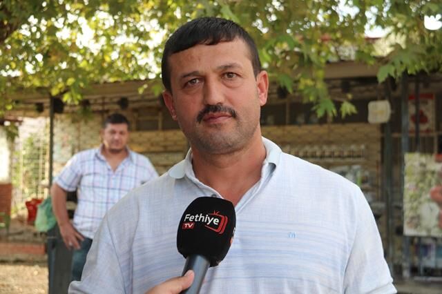 Fethiye’de Zeytin Hasadı Başladı