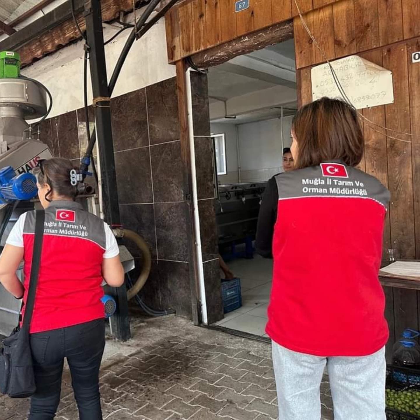 Fethiye’de Zeytinyağı Denetimi Yapıldı