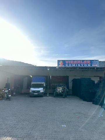 Fethiye’den Turfanda Domates İhracatı Artıyor