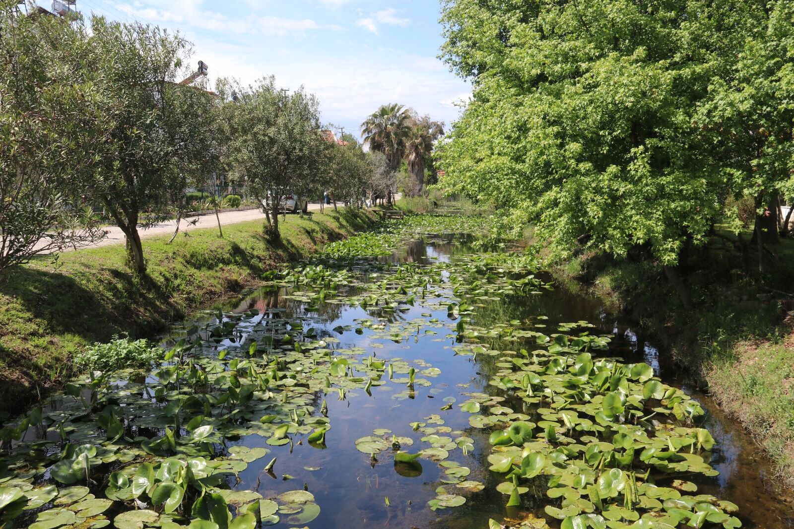 Fethiye’nin Saklı Güzelliği Keşfedildi