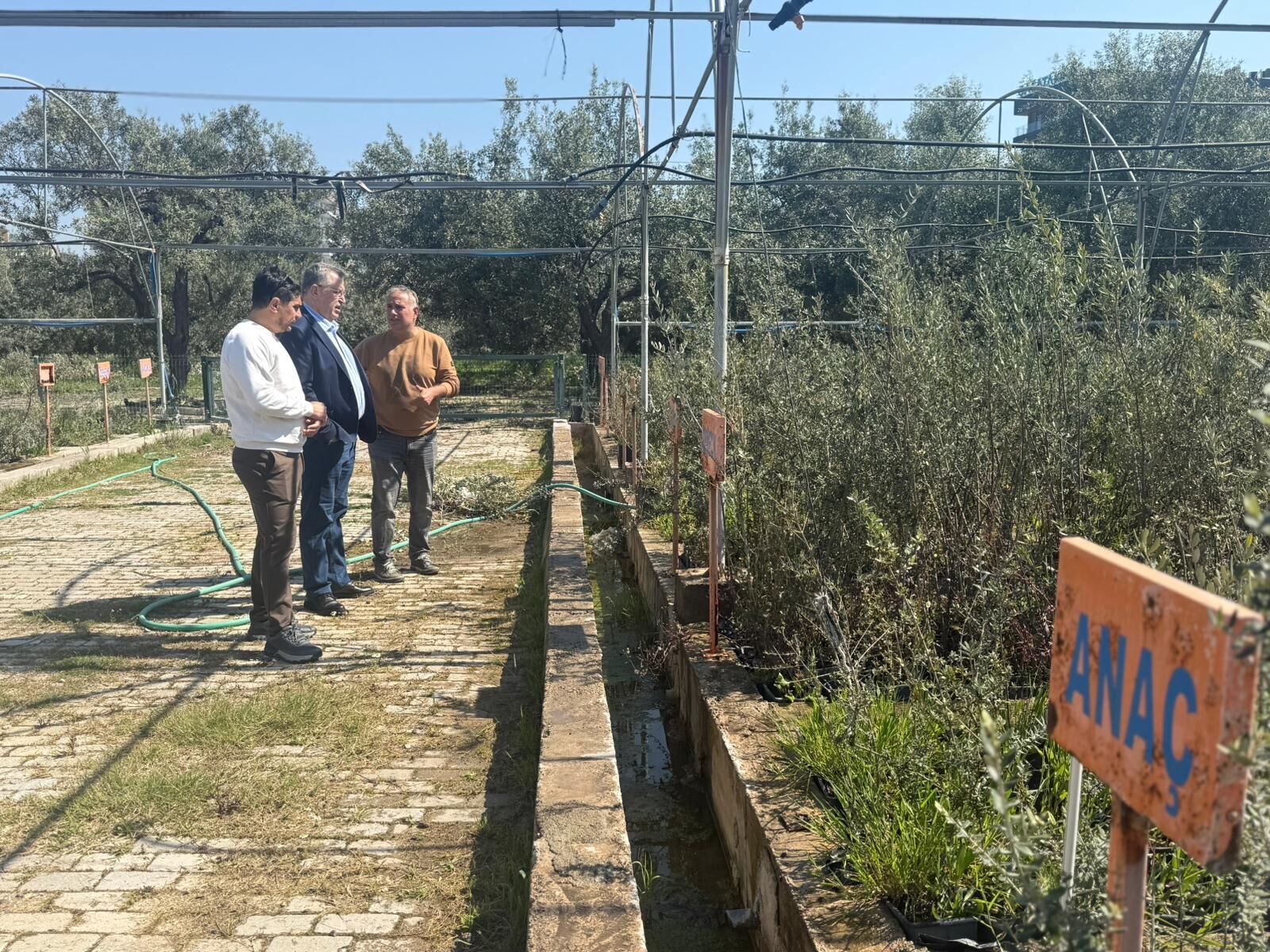 FTSO’dan ‘Fethiye Zeytinyağı’ İçin Coğrafi İşaret Adımı