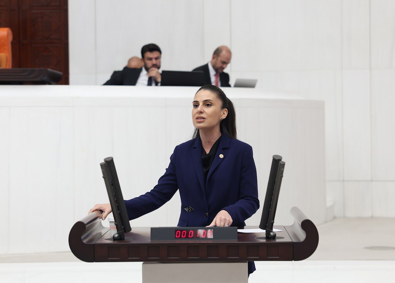Milletvekili Özcan, Orman Yangınlarını Meclise Taşıdı