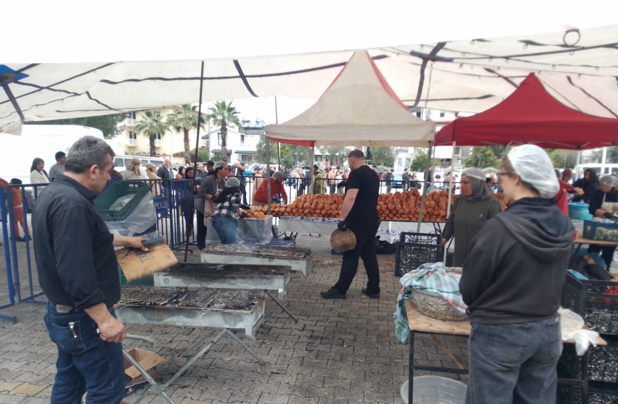 Hamsi Festivalinde 5 Ton Hamsi Ücretsiz İkram Edildi
