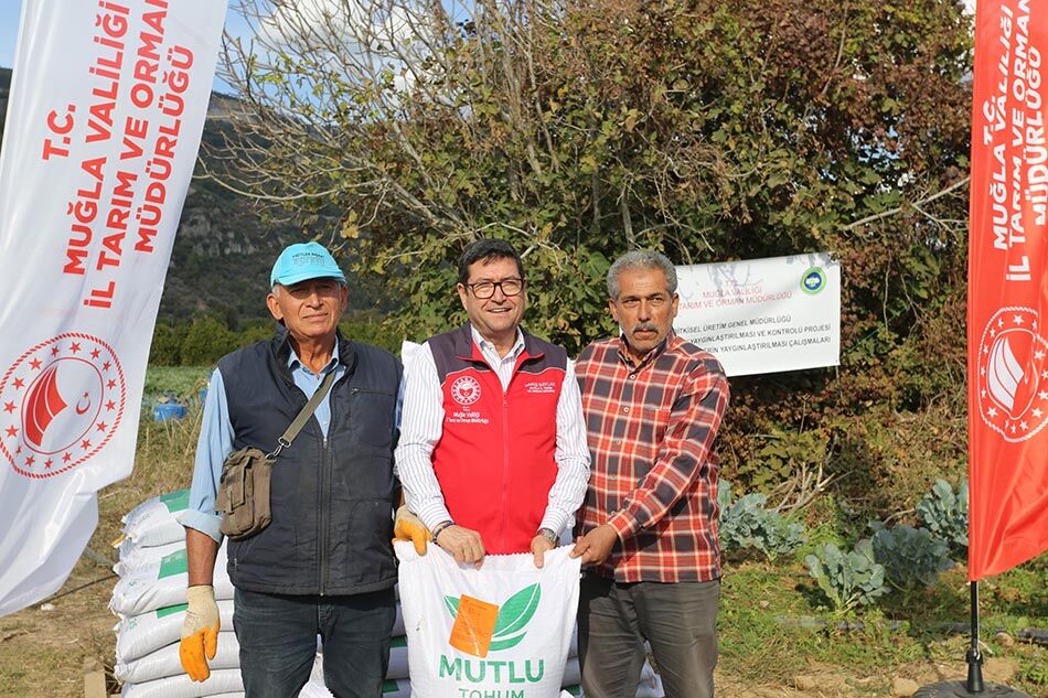 Muğla’da Hedef 12 Ay Enginar Üretimi
