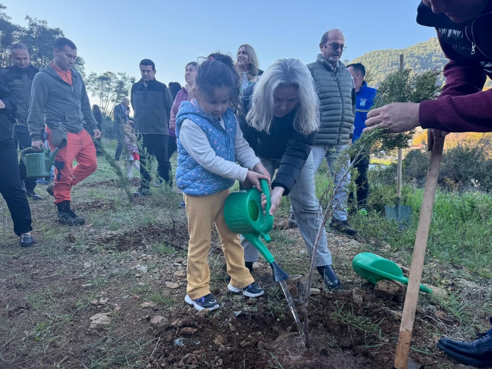 İnlice’de Hortumdan Zarar Gören Alan Ağaçlandırıldı