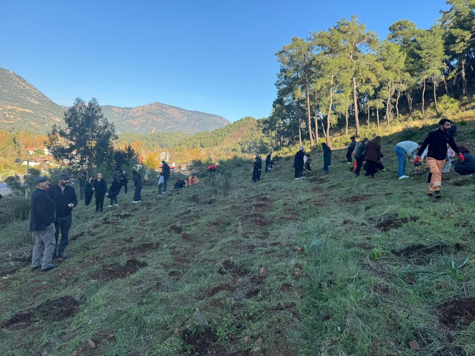İnlice’de Hortumdan Zarar Gören Alan Ağaçlandırıldı