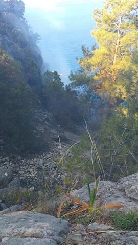 Kabak Koyu’nda Çıkan Orman Yangını Söndürüldü