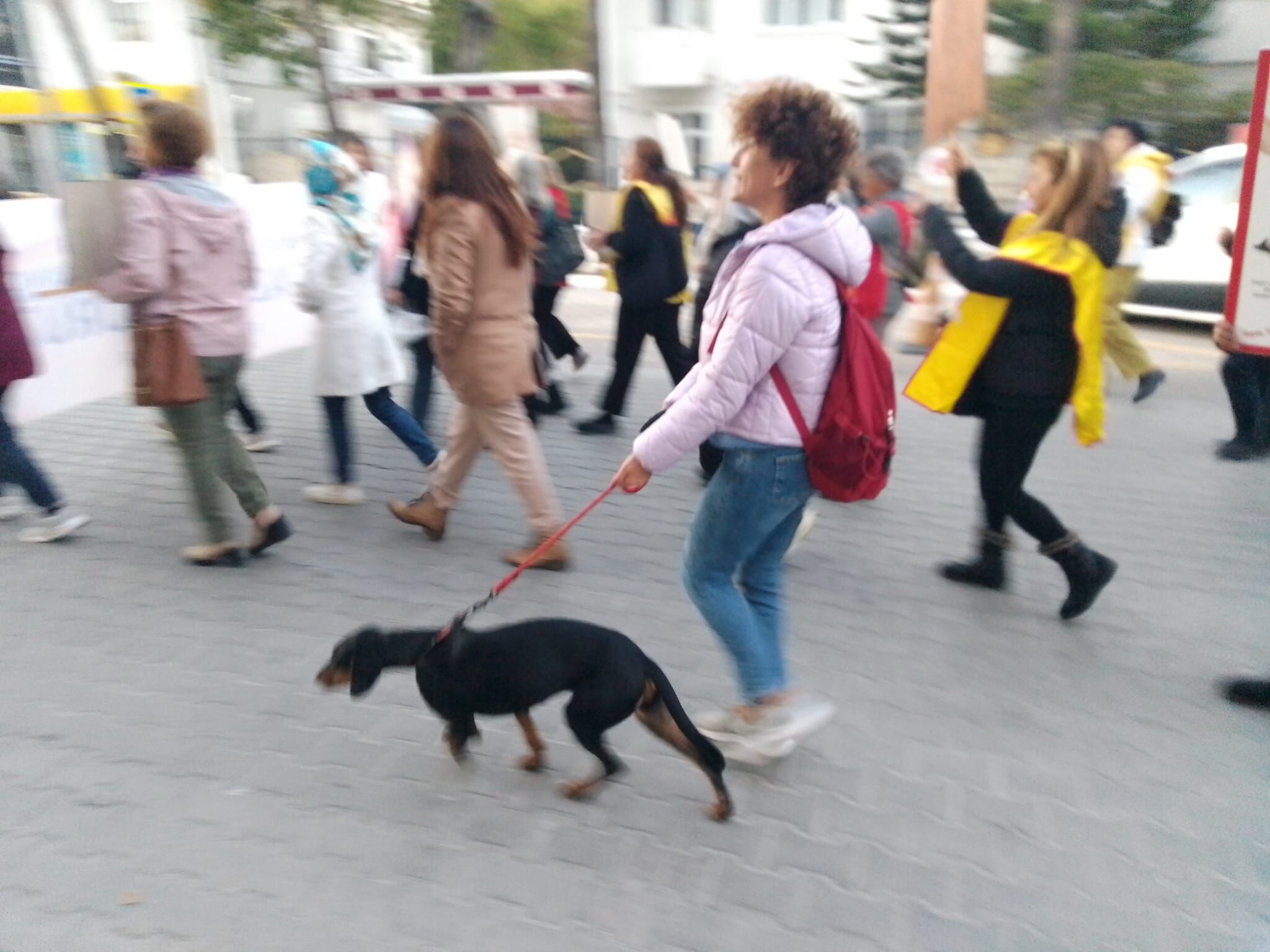 Fethiye'de Kadınlar Yürüyüş Gerçekleştirdi