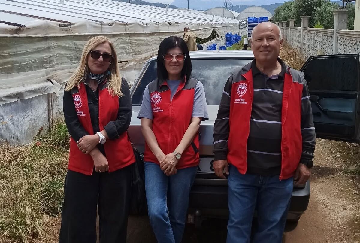 Karaçulha’da Seralara Domuz Saldırısı
