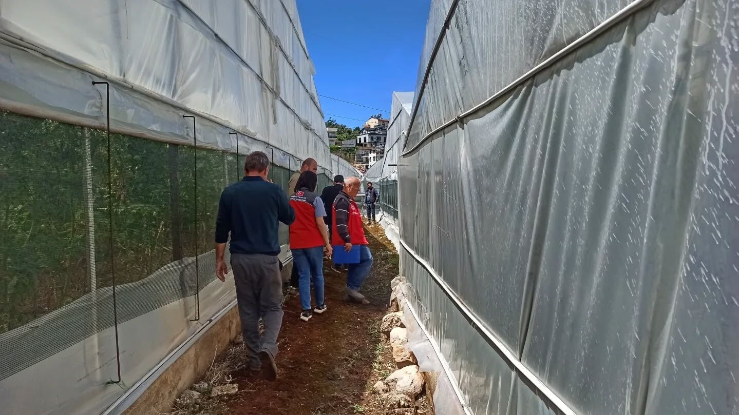 Karaçulha’da Seralara Domuz Saldırısı
