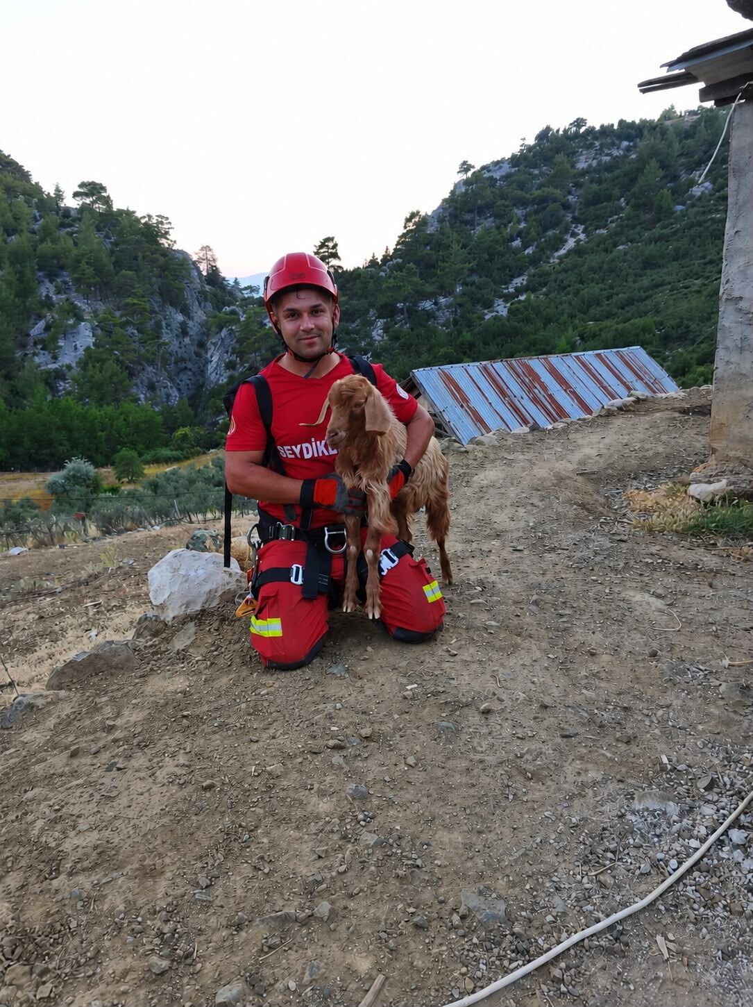 Kayalık Alanda Mahsur Kalan Oğlak Ekiplerin Müdahalesiyle Kurtarıldı