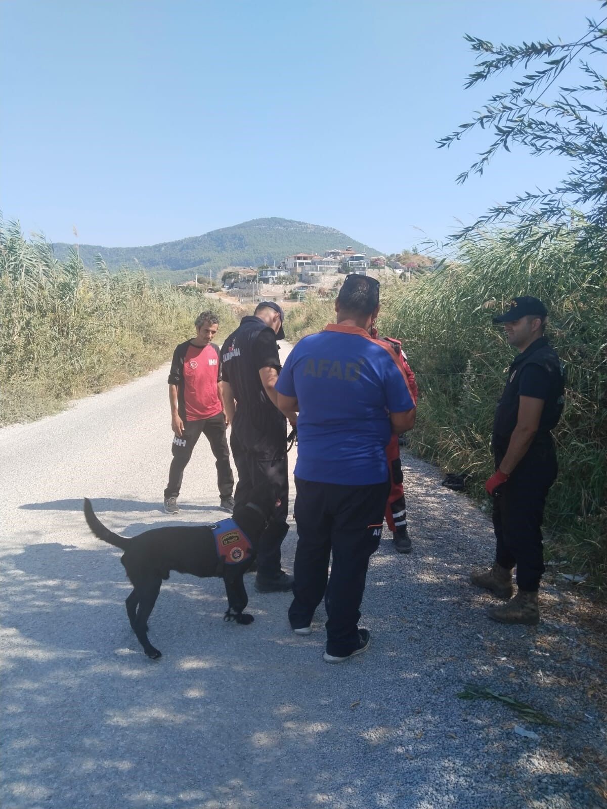 Kayıp Olarak Aranan 90 Yaşındaki Şahsın Cansız Bedenine Ulaşıldı