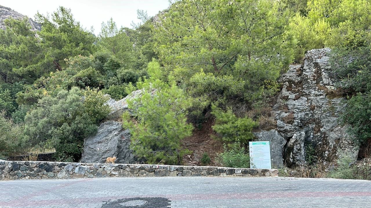 Kayıp Rus Turist İçin Arama Çalışmaları Başlatıldı