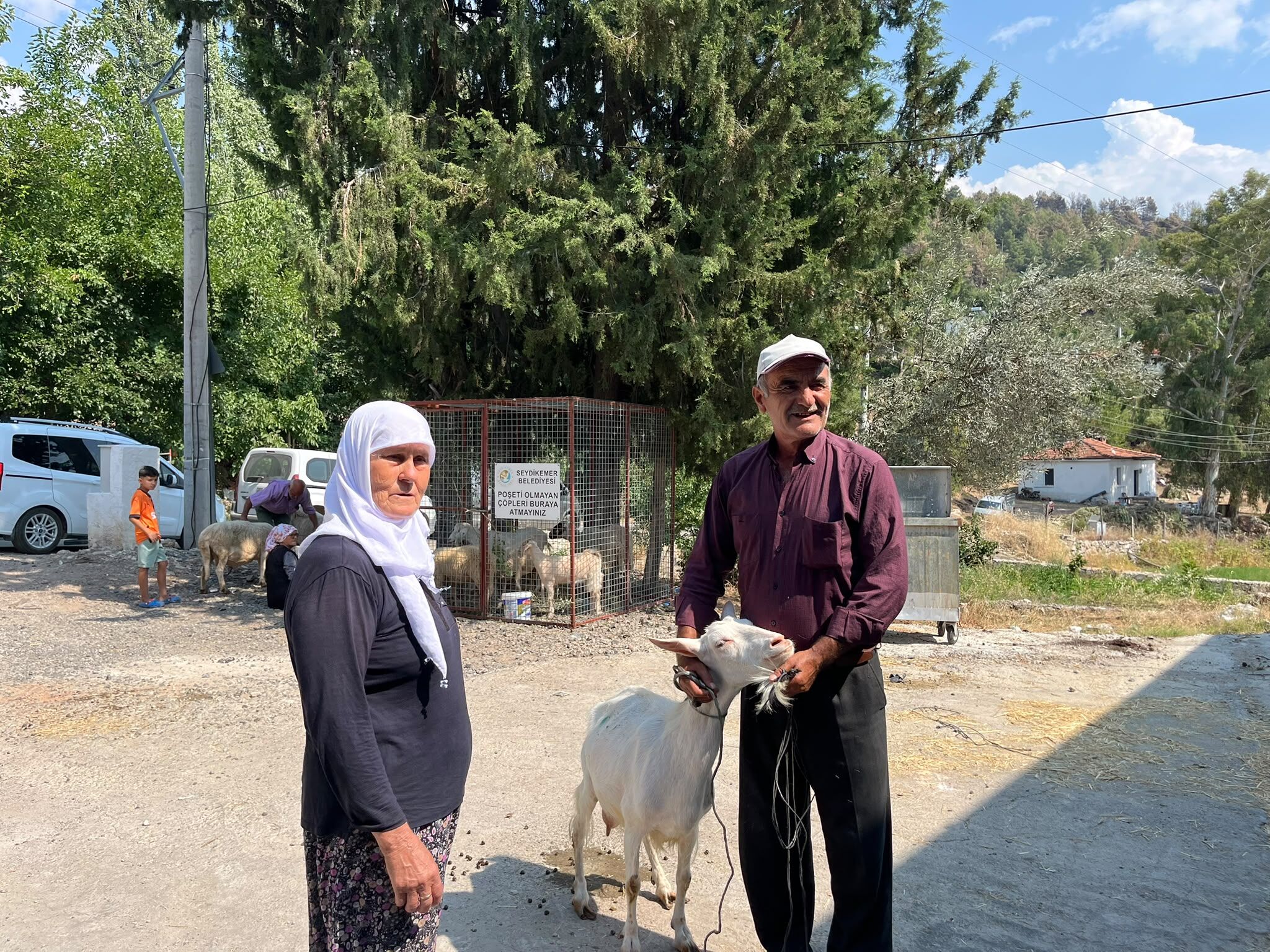 Seydikemer’de Yangında Hayvanlarını Kaybeden Çiftçilere Küçükbaş Hayvan Desteği