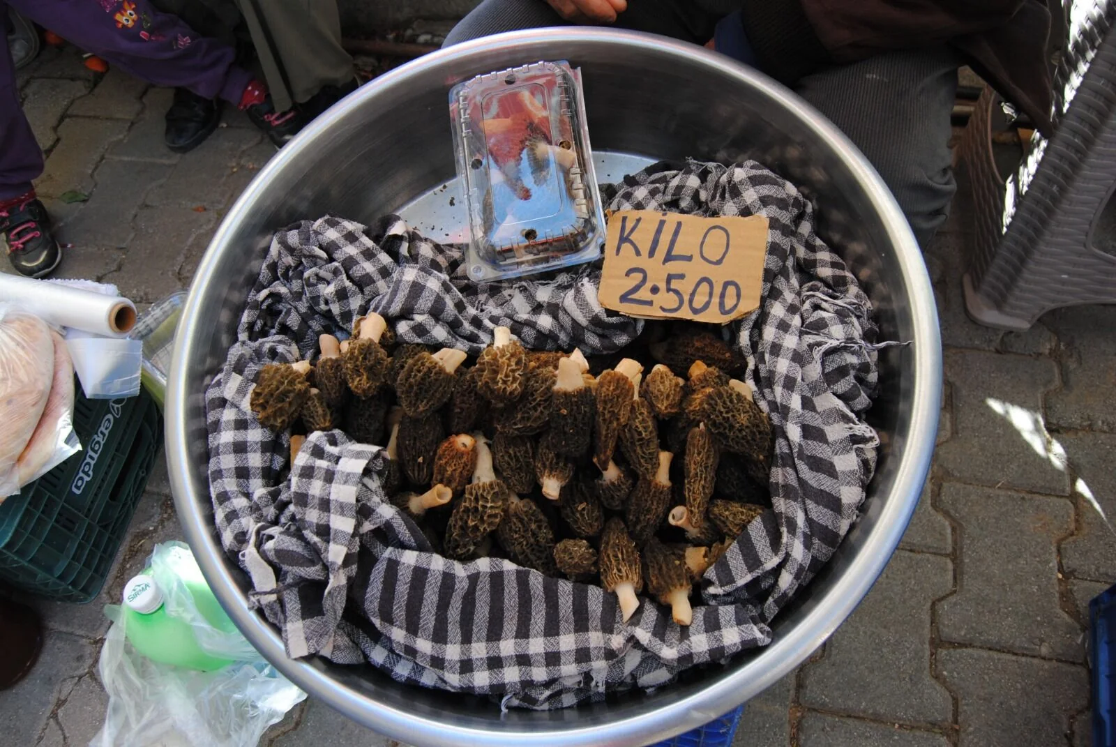 Kuzugöbeği Mantarının Kilosu 2 Bin 500 TL