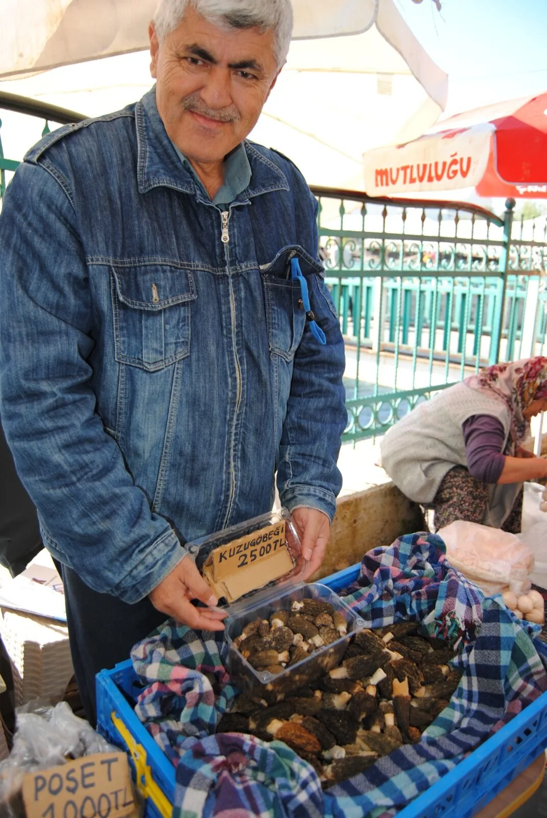 Kuzugöbeği Mantarının Kilosu 2 Bin 500 TL