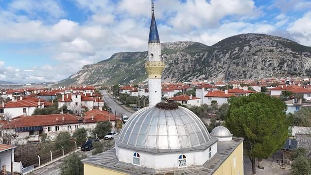 Leylekler, 12 Yıldır Aynı Caminin Minaresine Yuva Yapıyorlar