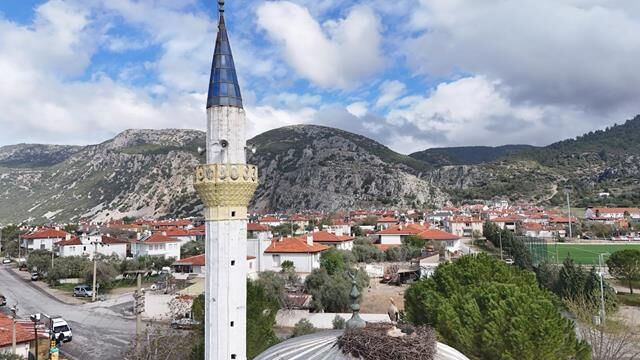 Leylekler, 12 Yıldır Aynı Caminin Minaresine Yuva Yapıyorlar